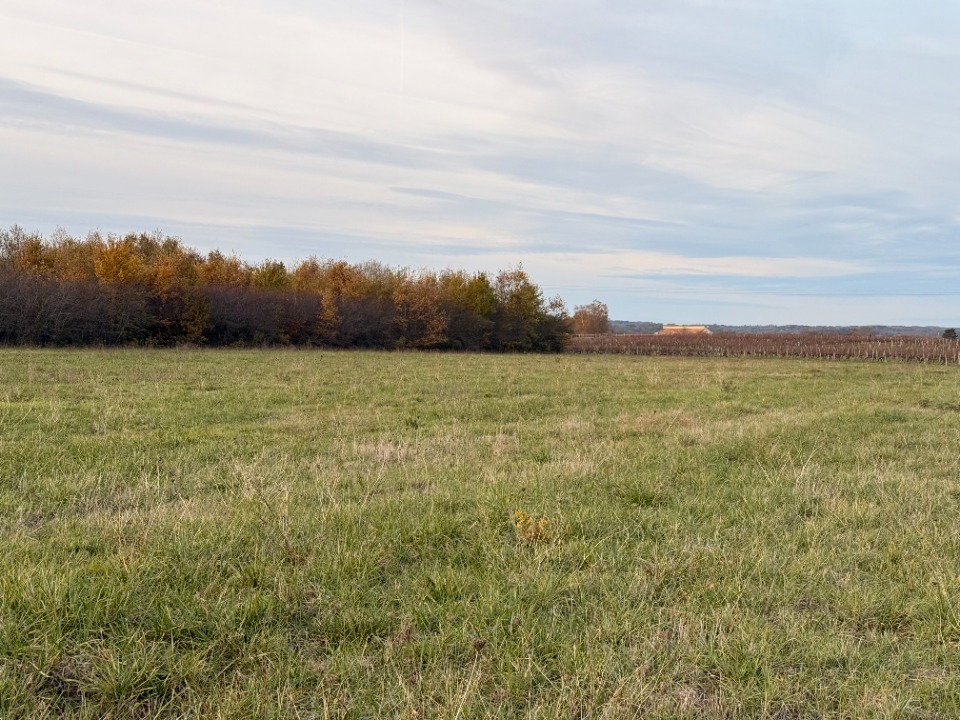 Terrain à bâtir à Saint-Laurent-des-Vignes (24100)