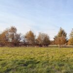 Terrain à bâtir à Prigonrieux (24130)