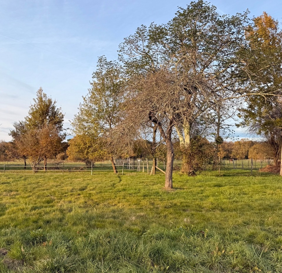Terrain à bâtir à Prigonrieux (24130)
