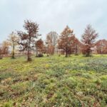 Terrain à bâtir à Maurens (24140)