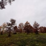 Terrain à bâtir à Maurens (24140)