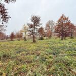 Terrain à bâtir à Maurens (24140)