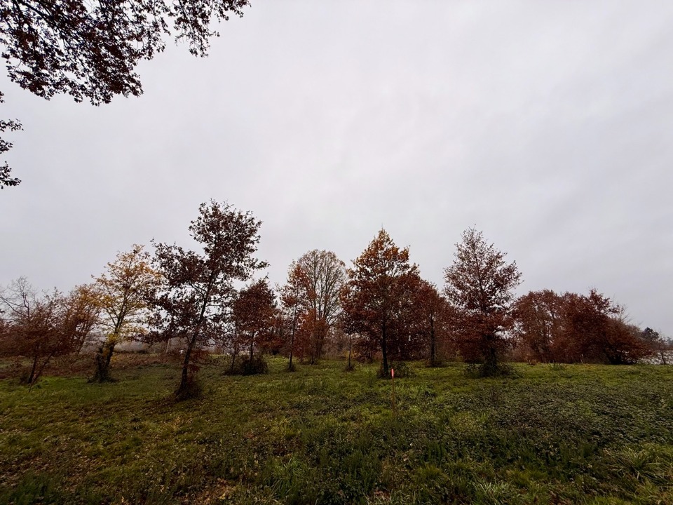 Terrain à bâtir à Maurens (24140)