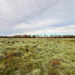 Terrain à bâtir à La Force (24130)