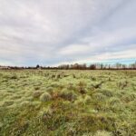 Terrain à bâtir à La Force (24130)