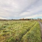 Terrain à bâtir à La Force (24130)