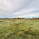 Terrain à bâtir à La Force (24130)