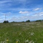 Terrain à bâtir à Colombier (24560)