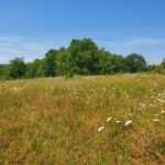 Maison à construire à Abzac (33230)