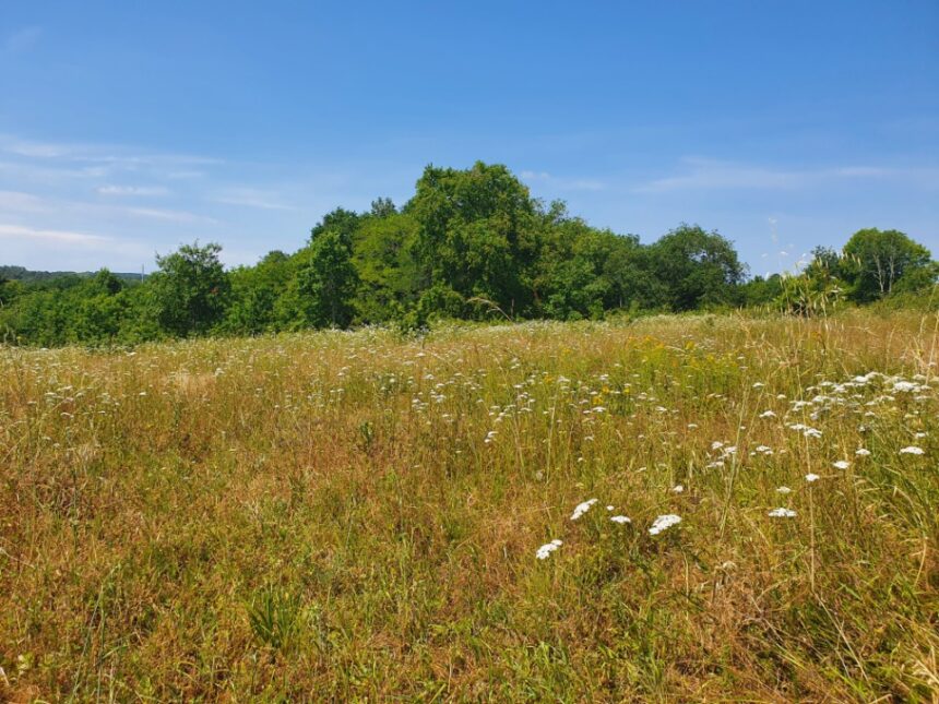 Maison à construire à Abzac (33230)