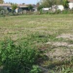 Terrain à bâtir à Cubnezais (33620)