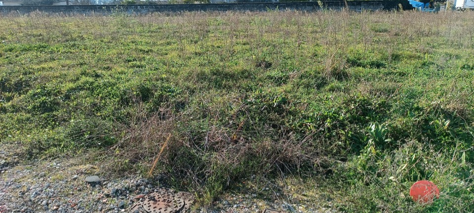 Terrain à bâtir à Gauriaguet (33240)