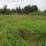 Terrain à bâtir à Gauriaguet (33240)