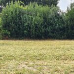 Maison à construire à Samonac (33710)