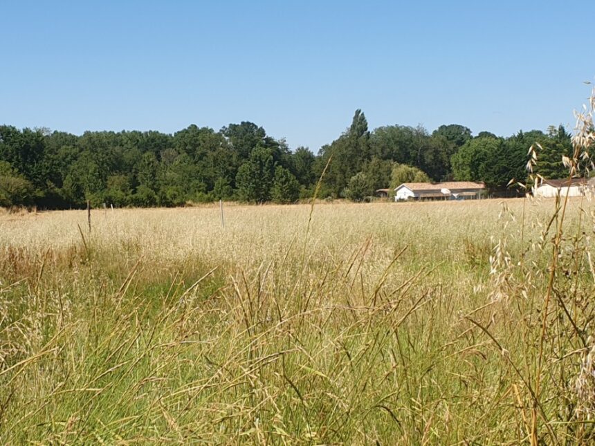 Maison à construire à Saint-Christoly-de-Blaye (33920)