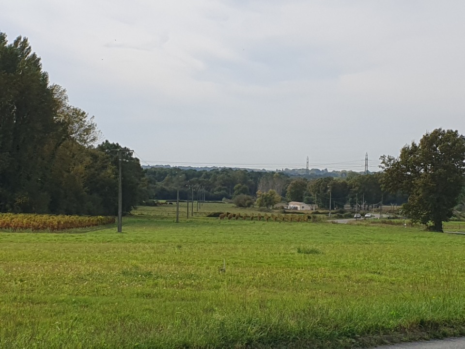 Terrain à bâtir à Saint-Savin (33920)
