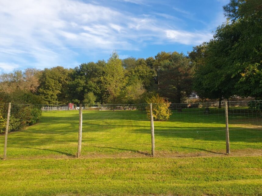 Maison à construire à Salignac (33240)