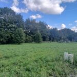 Maison à construire à Prignac-et-Marcamps (33710)