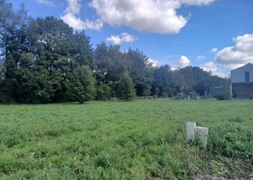 Terrain à bâtir à Prignac-et-Marcamps (33710)