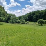 Maison à construire à Créon (33670)