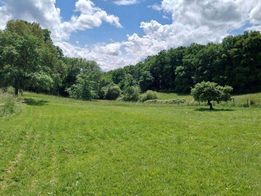Terrain à bâtir à Créon (33670)