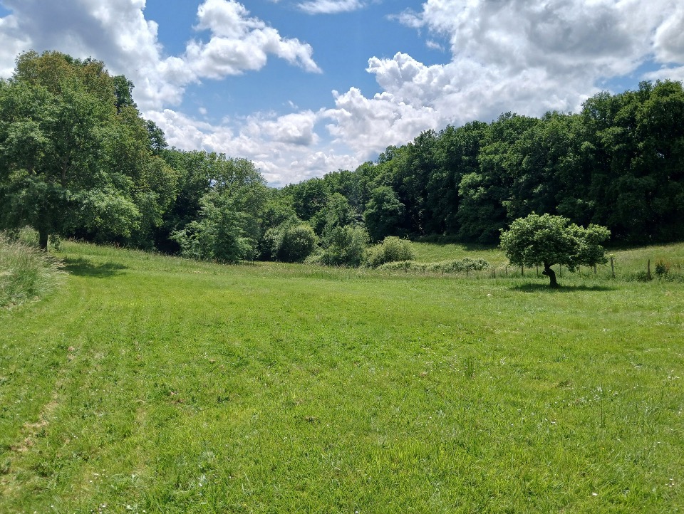 Terrain à bâtir à Créon (33670)