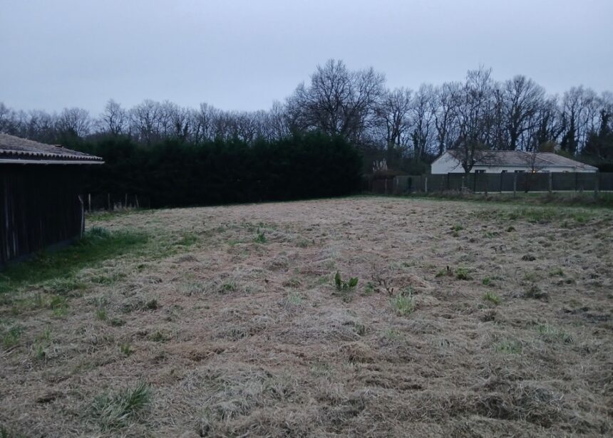 Maison à construire à Saint-Genès-de-Lombaud (33670)