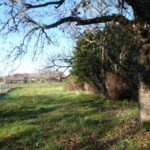 Maison à construire à Madirac (33670)