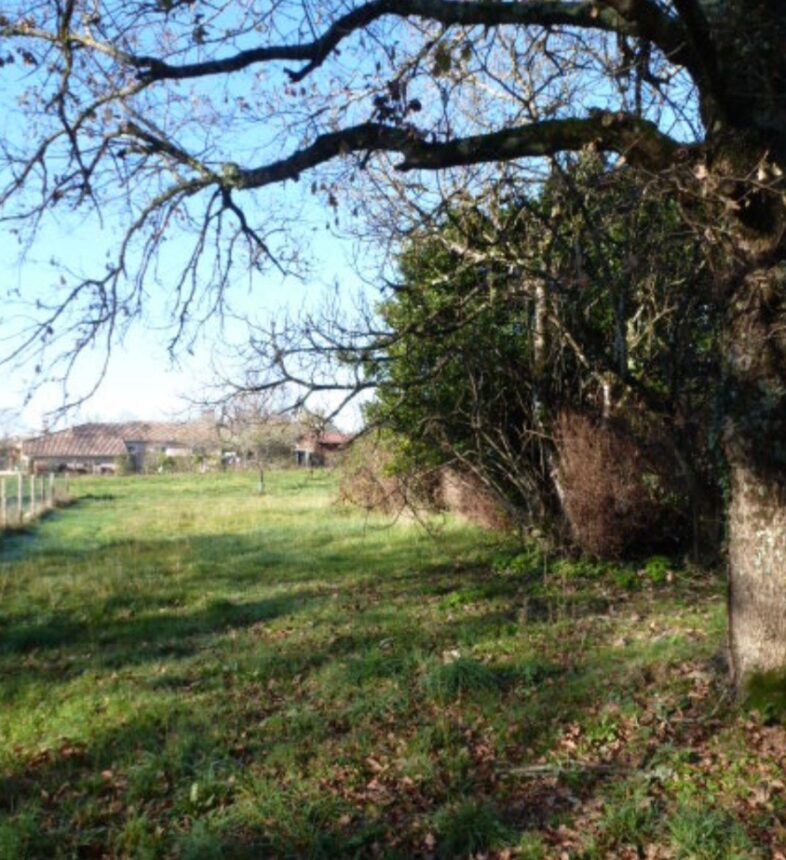 Terrain à bâtir à Madirac (33670)