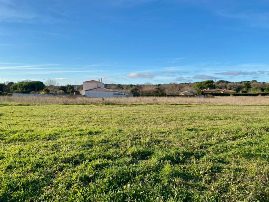 Maison à construire à Saint-Palais-sur-Mer (17420)