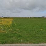 Maison à construire à Nieulle-sur-Seudre (17600)