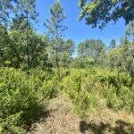 Terrain à bâtir à Le Barp (33114)