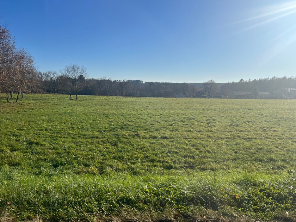 Terrain à bâtir à Casteljaloux (47700)
