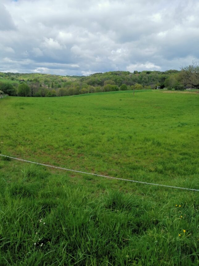 Maison à construire à Saint-Astier (24110)