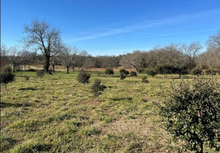 Maison à construire à Excideuil (24160)