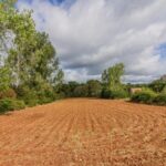 Maison à construire à Cherveix-Cubas (24390)