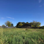 Terrain à bâtir à Saint-Selve (33650)