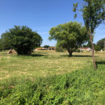 Maison à construire à Reignac (33860)