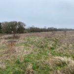 Terrain à bâtir à Pont-l’Abbé-d’Arnoult (17250)