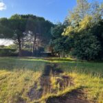 Terrain à bâtir à Dolus-d’Oléron (17550)