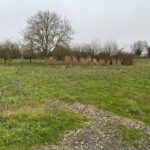 Terrain à bâtir à Champagne (17620)