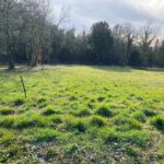 Terrain à bâtir à Arvert (17530)