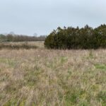 Terrain à bâtir à Pont-l’Abbé-d’Arnoult (17250)