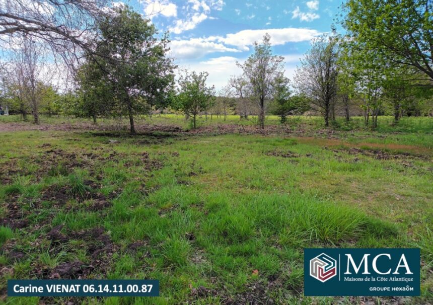 Maison à construire à Gastes (40160)