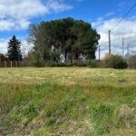 Maison à construire à Saint-Martin-du-Bois (33910)