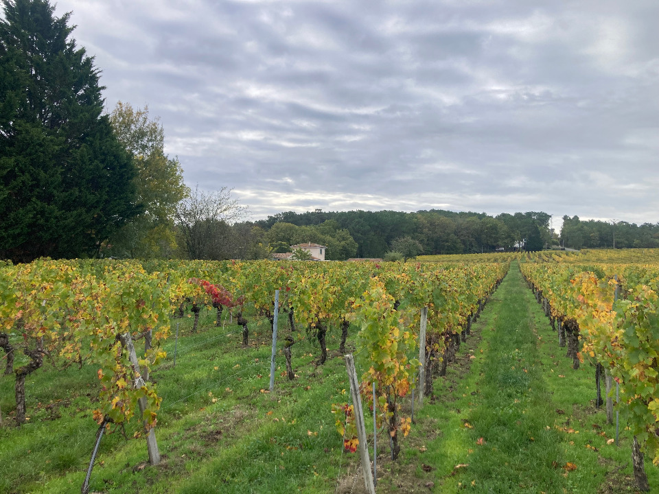 Terrain à bâtir à Saint-Sauveur-de-Puynormand (33660)