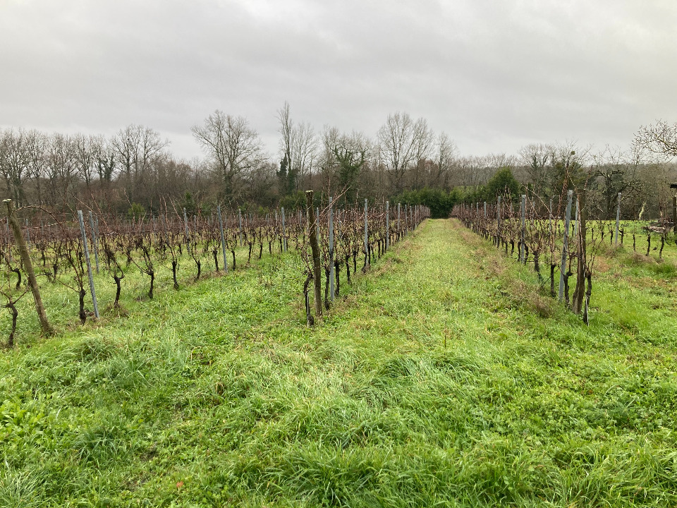 Terrain à bâtir à Fougueyrolles (33220)