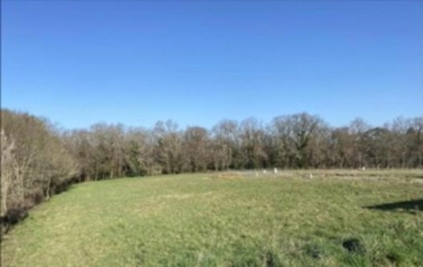 Maison à construire à Bouliac (33270)