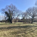 Terrain à bâtir à Bouliac (33270)