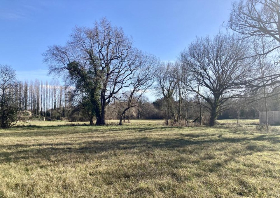Terrain à bâtir à Bouliac (33270)